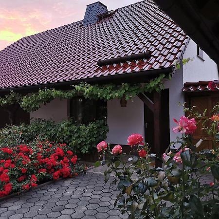 Ferienhaus Rosenhof Glaubitz Exteriér fotografie