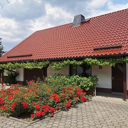Ferienhaus Rosenhof Glaubitz Exteriér fotografie