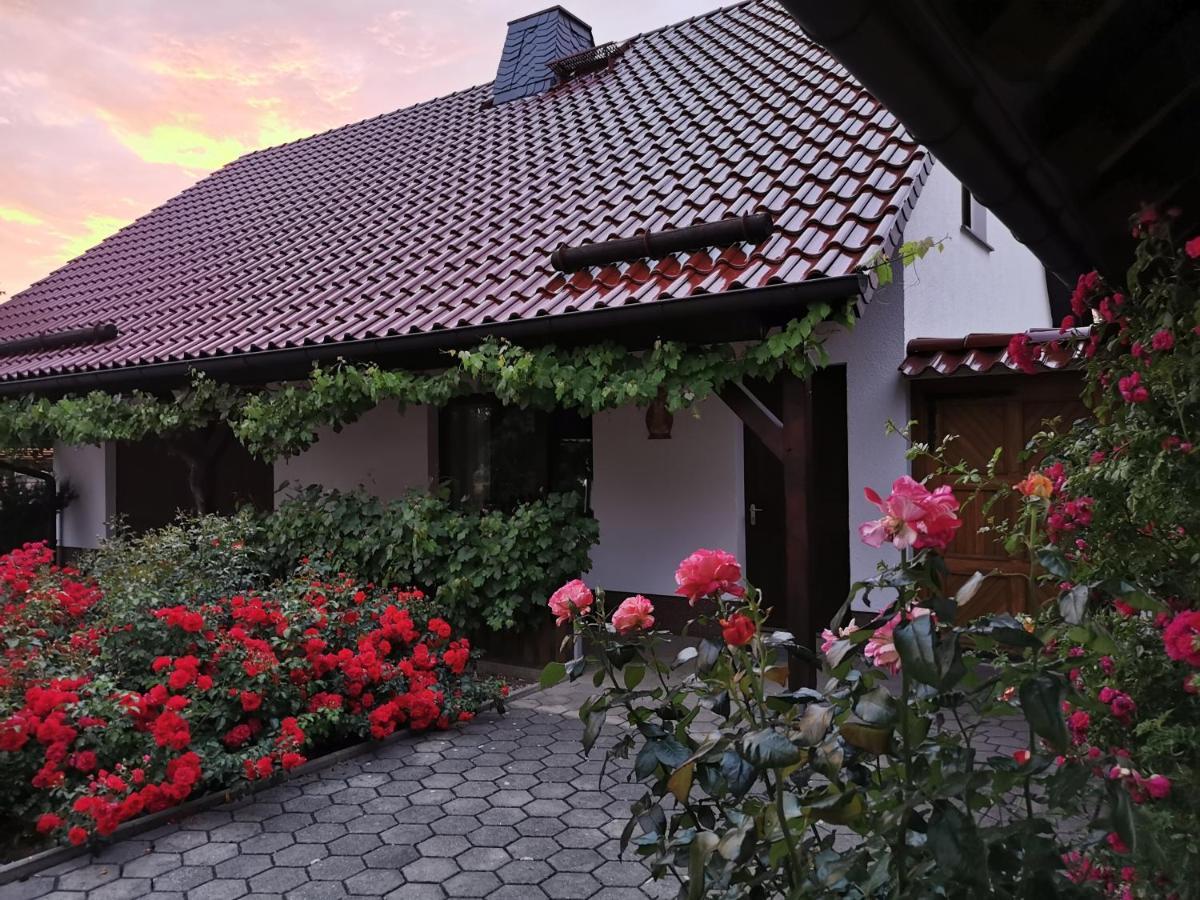 Ferienhaus Rosenhof Glaubitz Exteriér fotografie